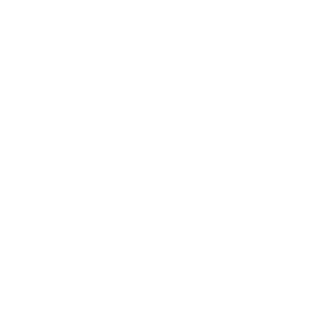 NDG Logo