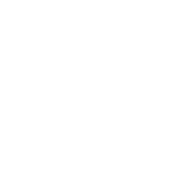 BR Logo